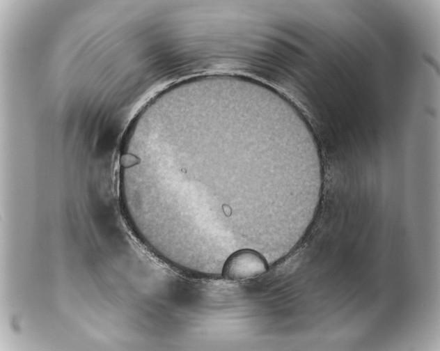 X0000099311126200805301148