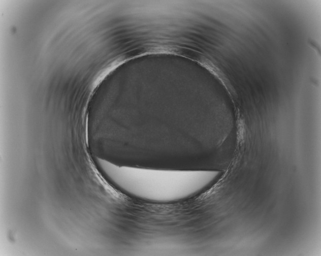 X0000099311127200805301148