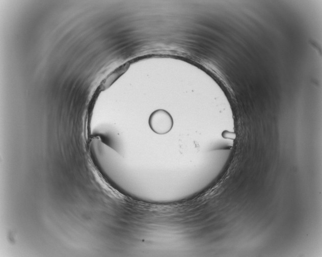 X0000099311128200805301148