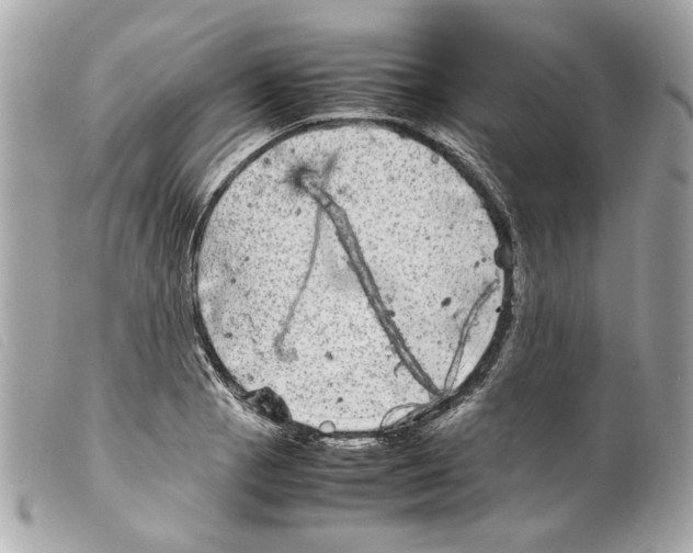 X0000099311129200805301148