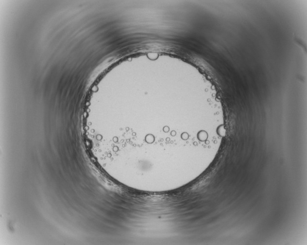 X0000099311130200805301148