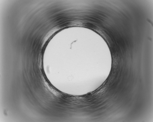 X0000099311131200805301148