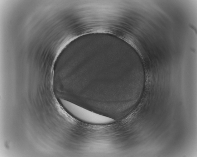 X0000099311132200805301148