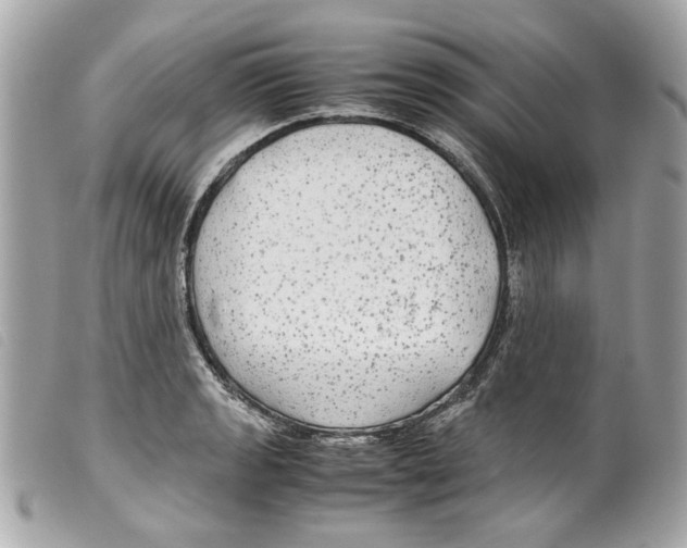 X0000099311133200805301148