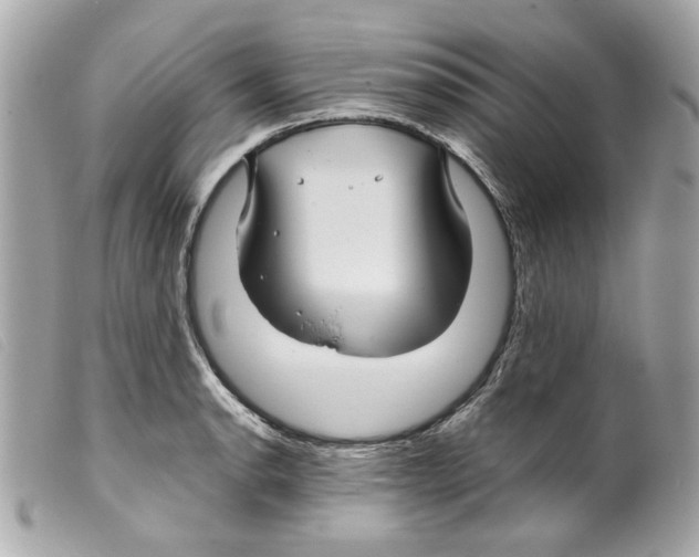 X0000099311134200805301148