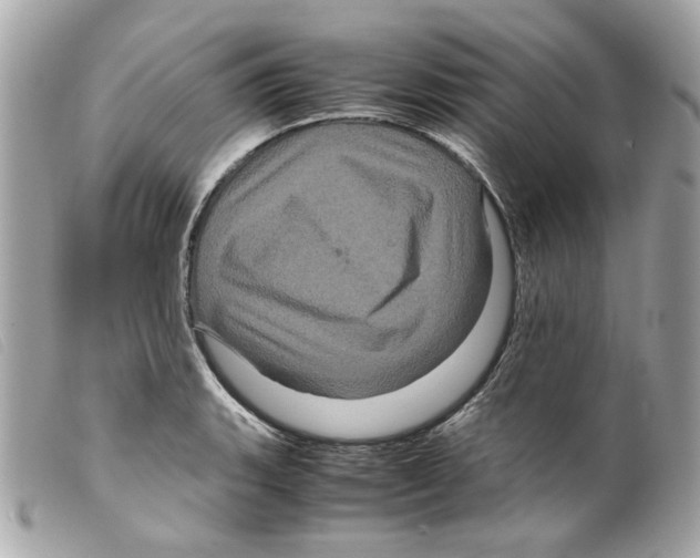 X0000099311135200805301149