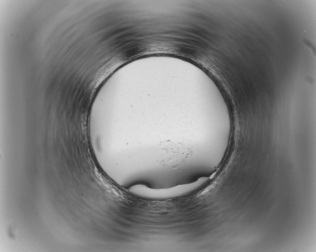 X0000099311137200805301149