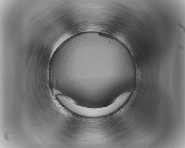 X0000099311138200805301149