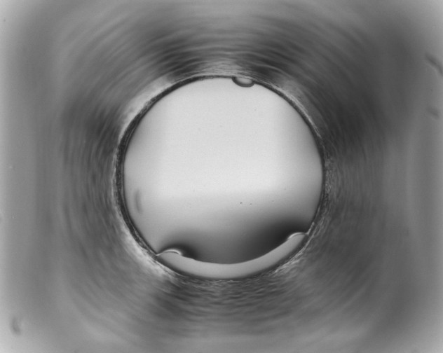 X0000099311139200805301149