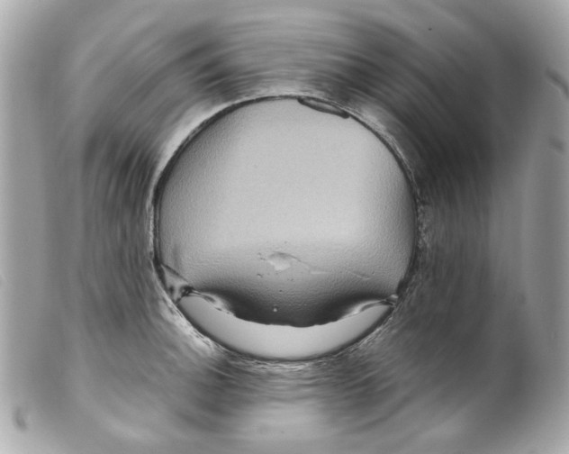 X0000099311140200805301149