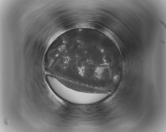 X0000099311141200805301149