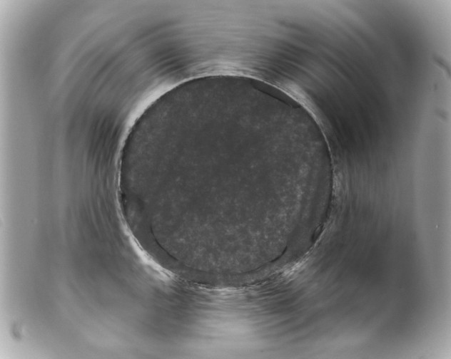 X0000099311144200805301149