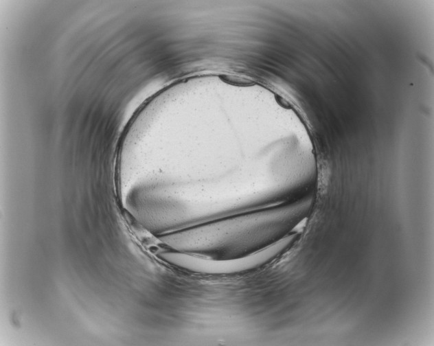 X0000099311146200805301149