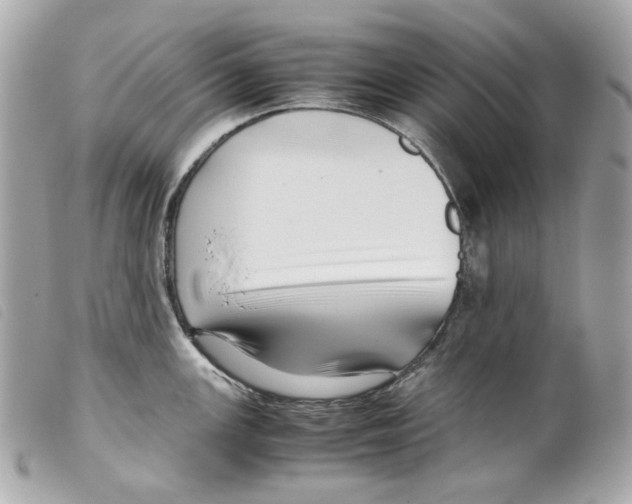 X0000099311147200805301149