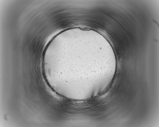 X0000099311149200805301149