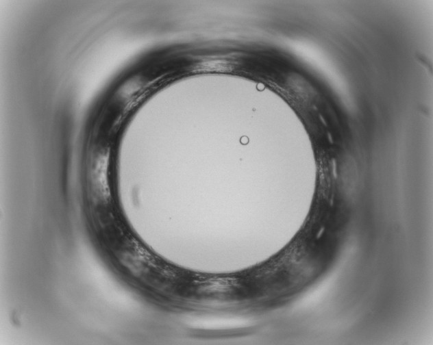 X0000099311150200805301149