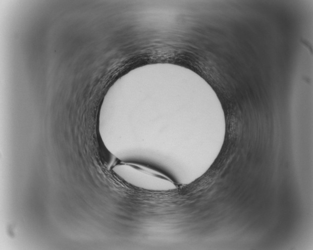 X0000099311153200805301148