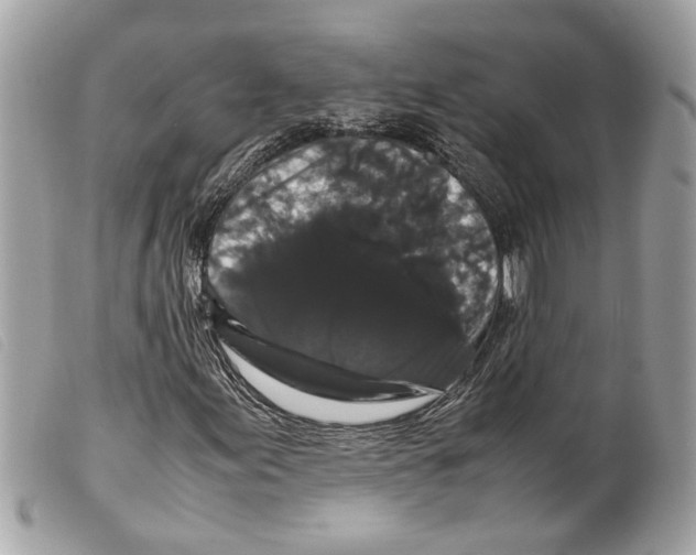 X0000099311155200805301148