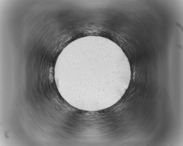 X0000099311156200805301148