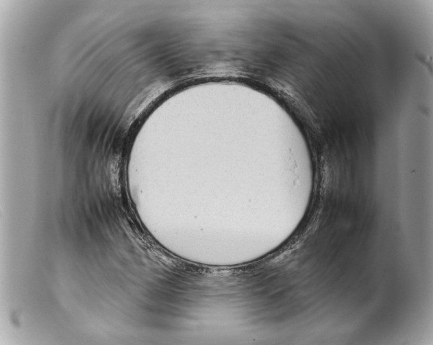 X0000099311162200805301148