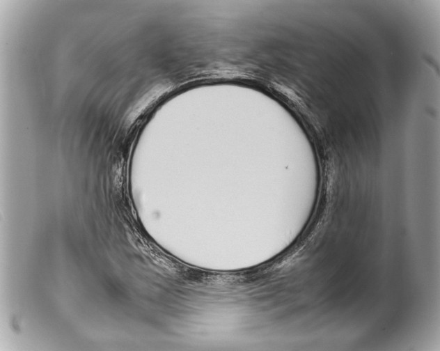 X0000099311163200805301148