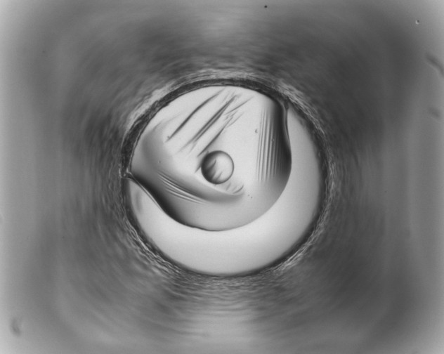 X0000099311165200805301148