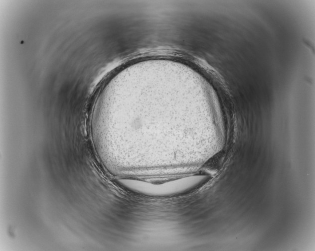 X0000099311166200805301148