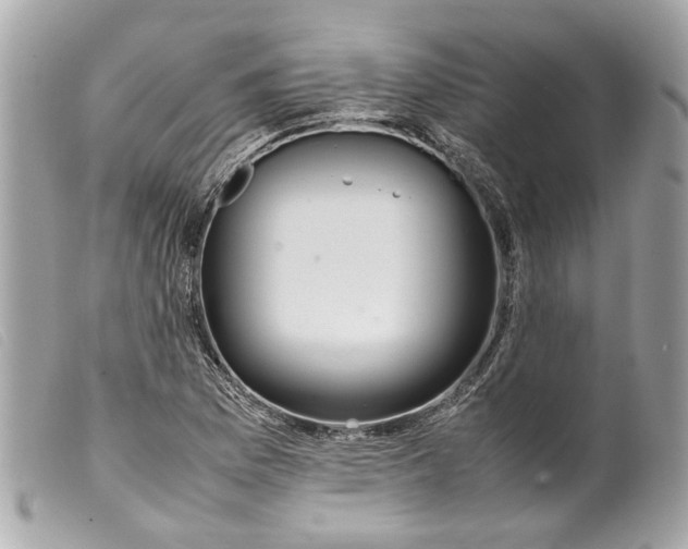 X0000099311169200805301148