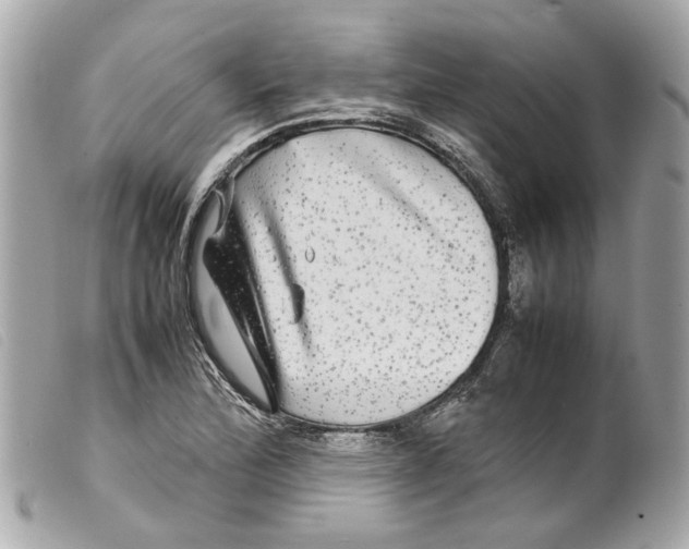 X0000099311172200805301148