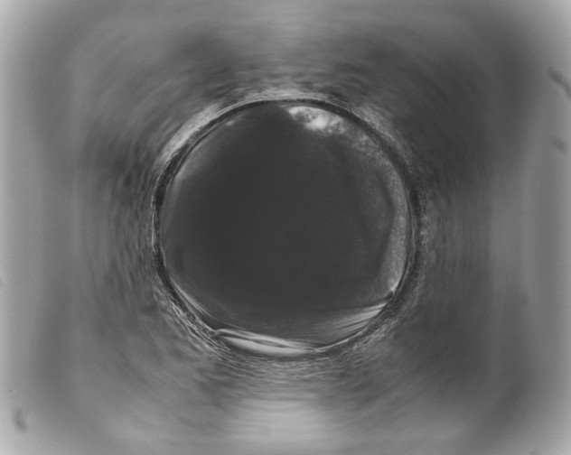 X0000099311173200805301148