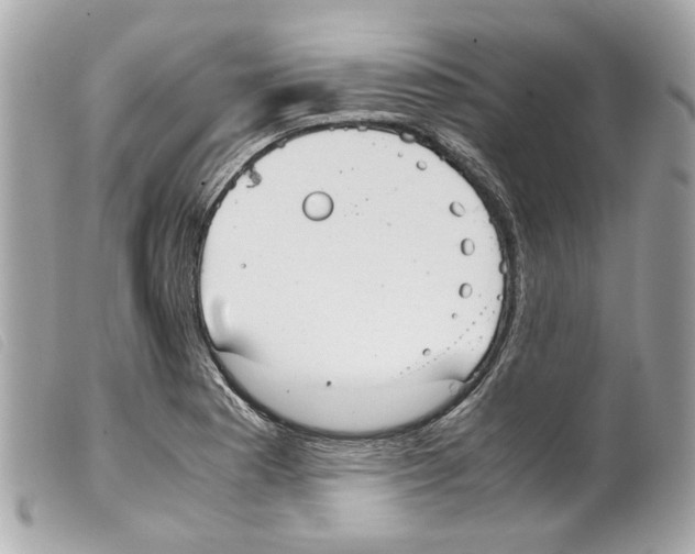 X0000099311177200805301148