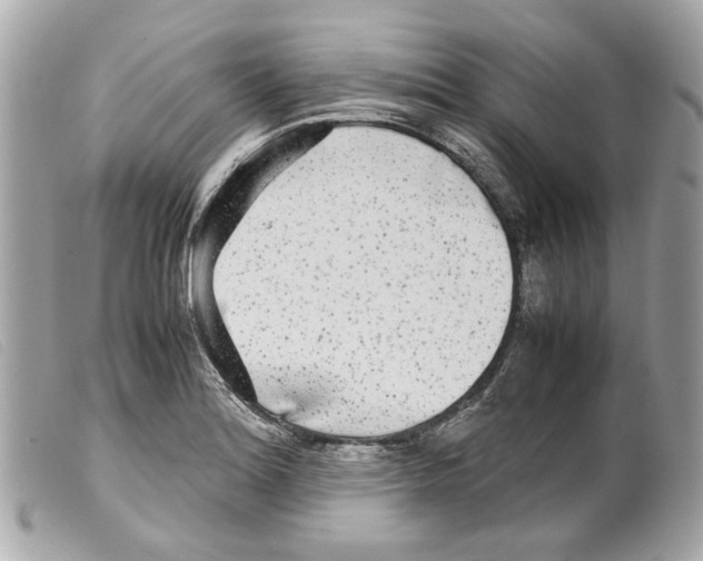 X0000099311180200805301148