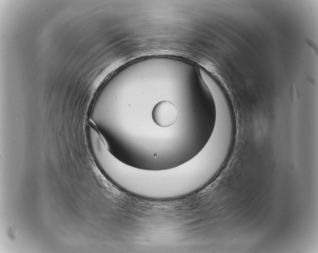 X0000099311181200805301148