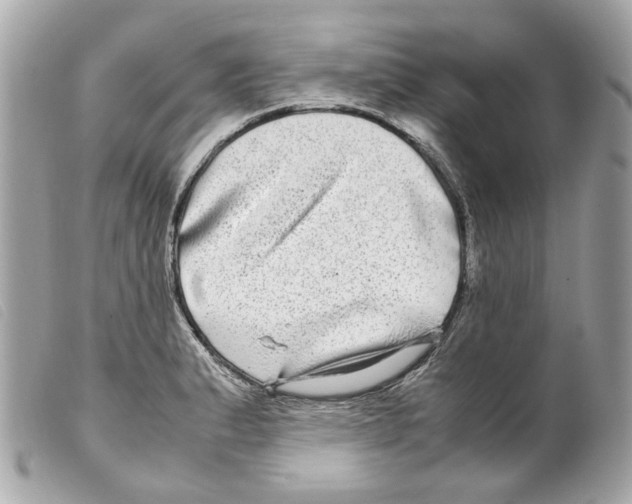 X0000099311183200805301148