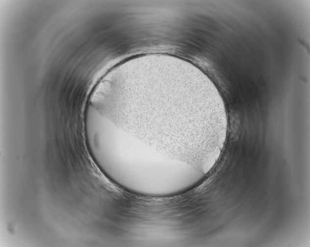 X0000099311184200805301148