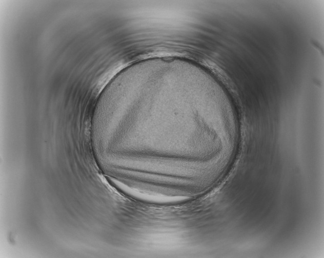 X0000099311185200805301148