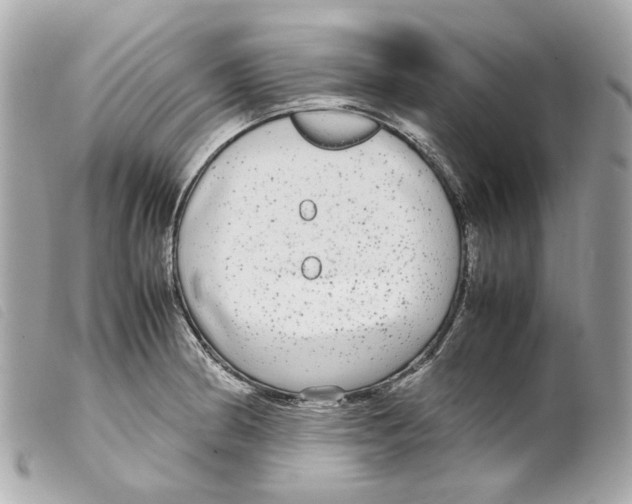 X0000099311186200805301148