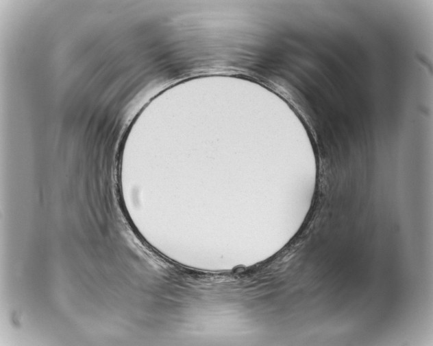 X0000099311187200805301148