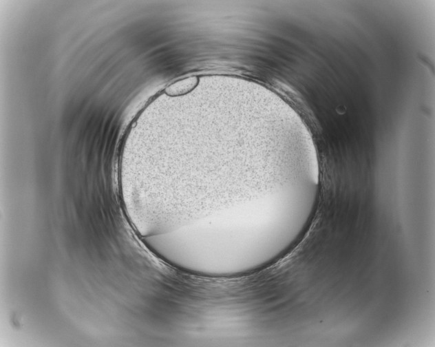 X0000099311188200805301148