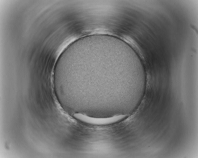 X0000099311190200805301148