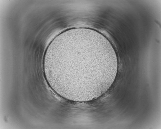 X0000099311191200805301148