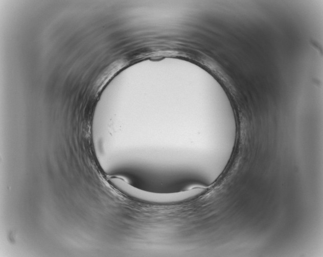 X0000099311193200805301148