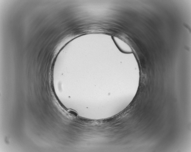 X0000099311195200805301148