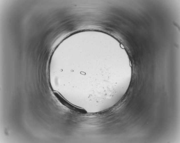 X0000099311199200805301148