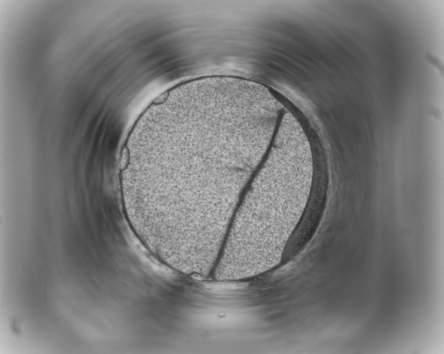 X0000099311200200805301148