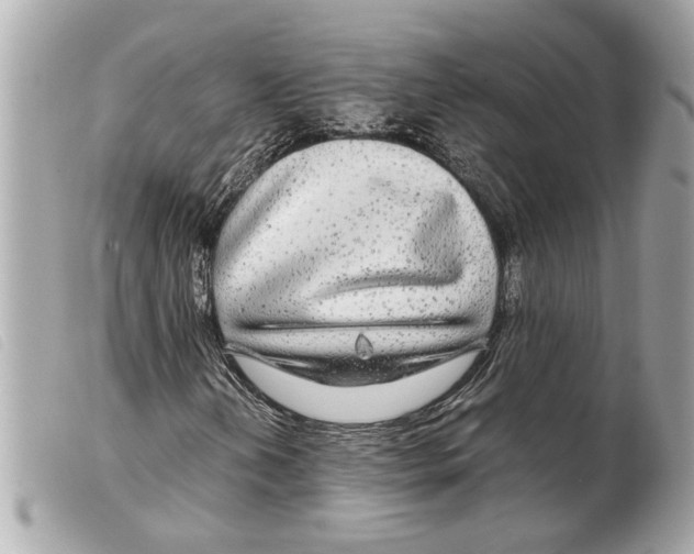 X0000099311202200805301147