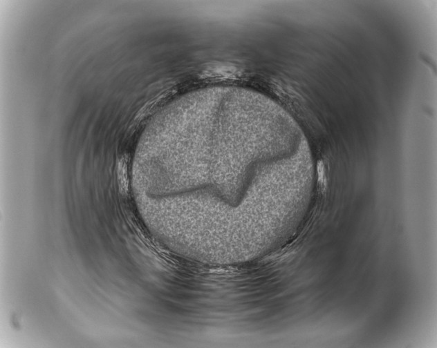 X0000099311203200805301147