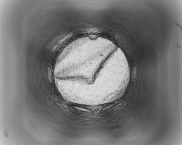 X0000099311205200805301147