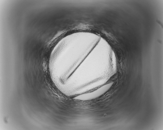 X0000099311206200805301147