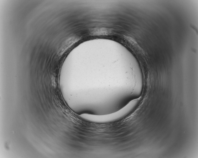 X0000099311209200805301147